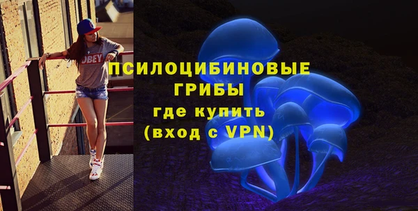 бошки Алексеевка