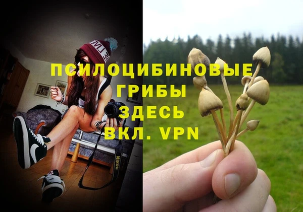 бошки Алексеевка