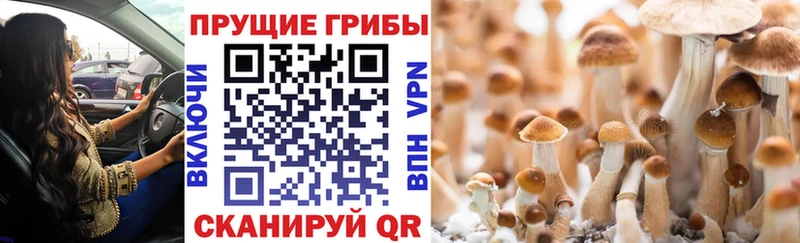 Псилоцибиновые грибы Magic Shrooms  Алупка 
